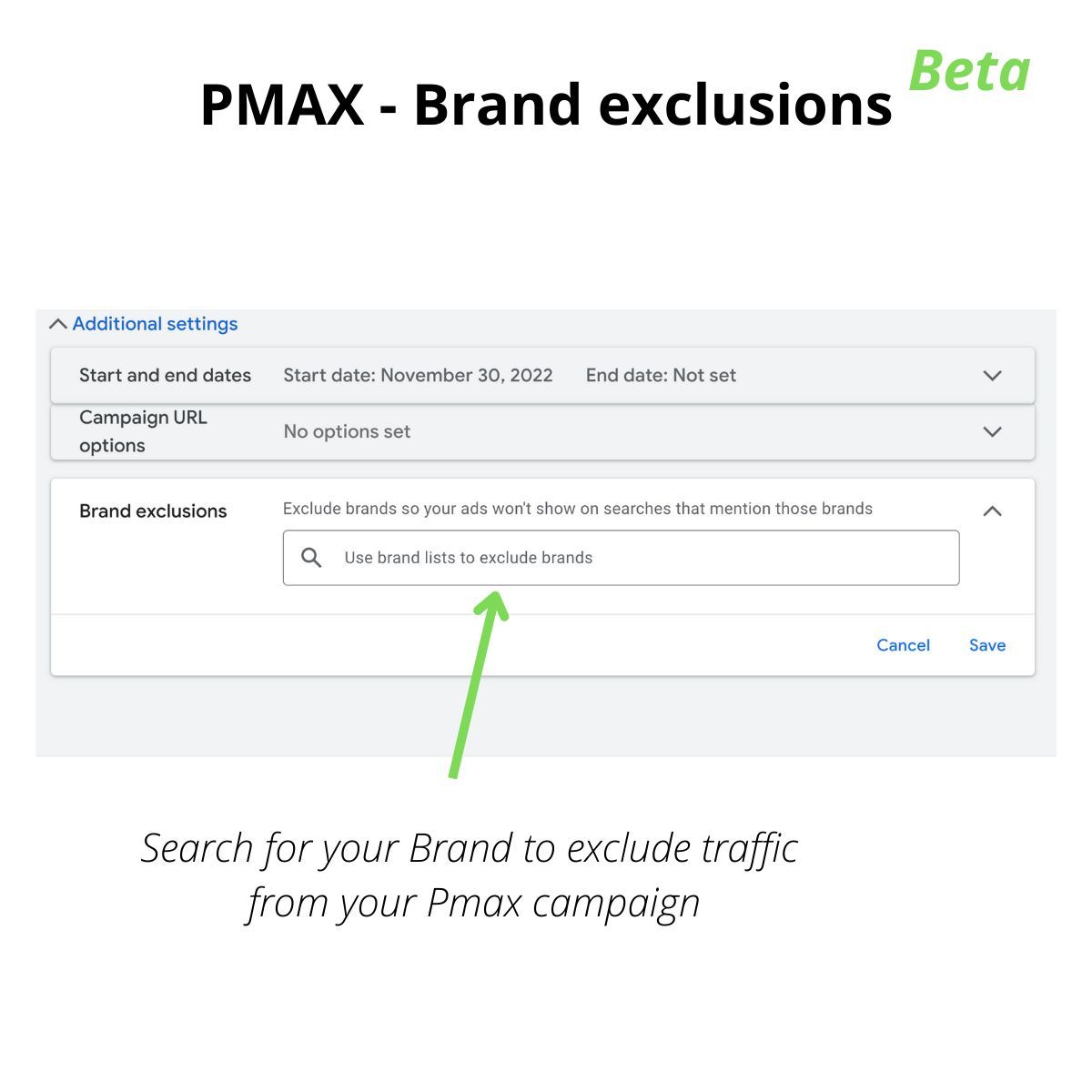 Pmax Brand Exclusion