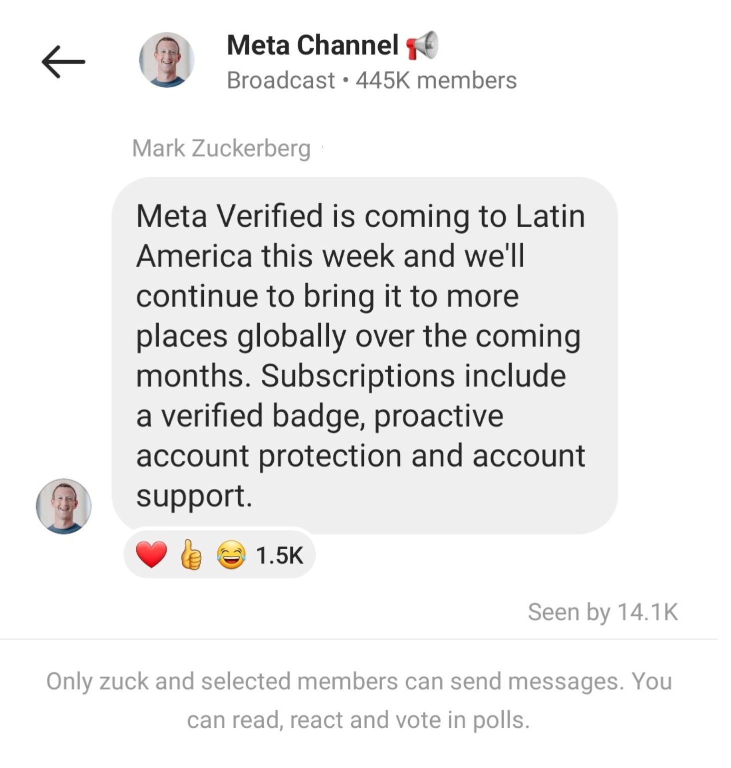 Meta Verified Latin America