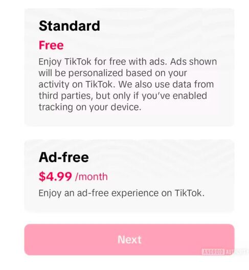 Paid version TikTok