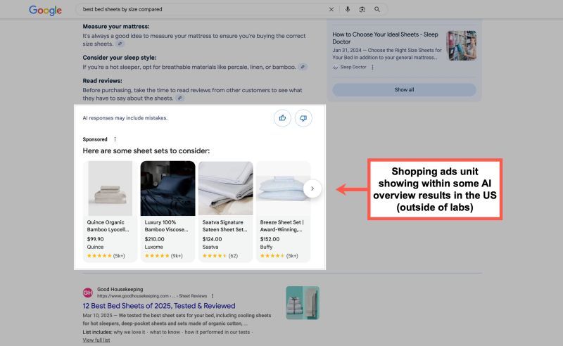 Shopping Ads in AI overview 🚨