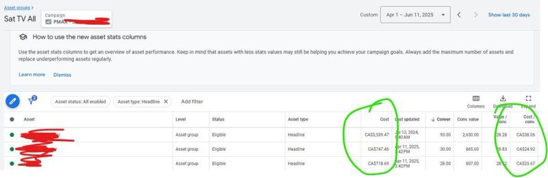 Pmax asset reporting