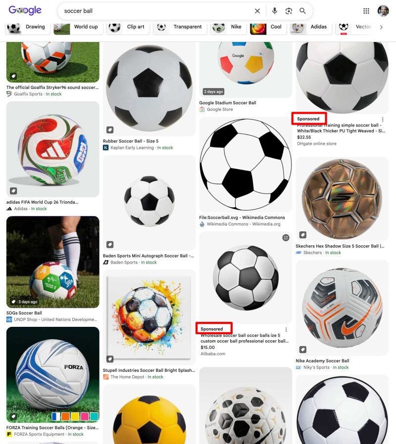 Google Tests Ads Inside Image Results